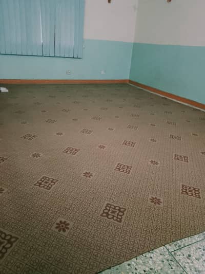 Wall to Wall Carpet – Used, Excellent Condition