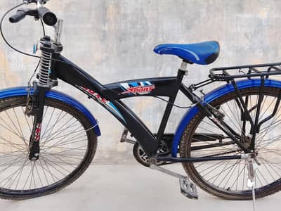 Deluxe Bicycle