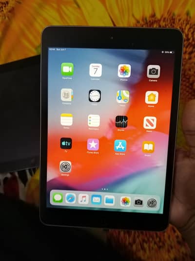 mini I pad 2