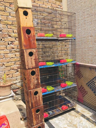 98 portion folding cage with all accessories and boxes