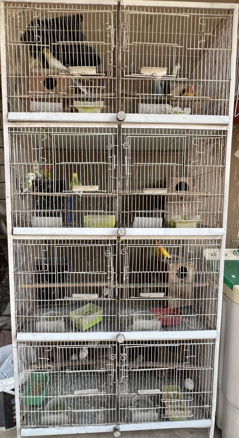With cage 1