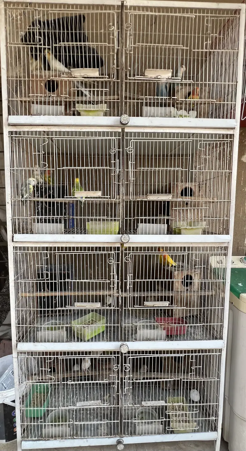 With cage — photo 2