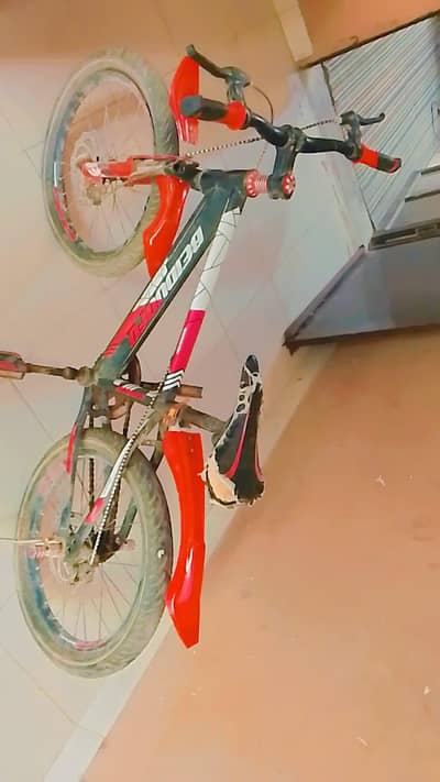 best cycle ever