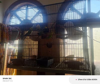 Cage (Pinjra)