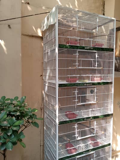 Big Cage