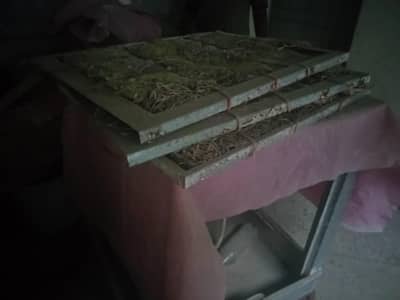 lahori cooler