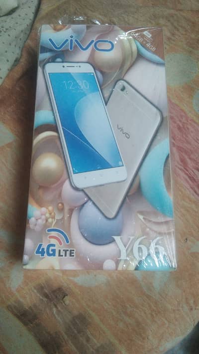 vivo y66 beautiful phone