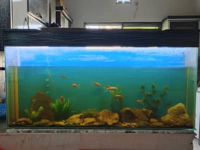Aquarium For Sale 4.5 ft