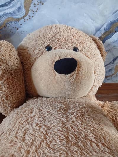 that is a big size bear this price is very cheap