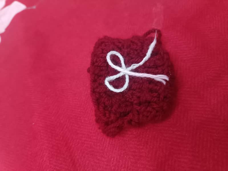 ear buds case 2