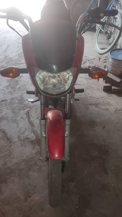 bikul thk hy