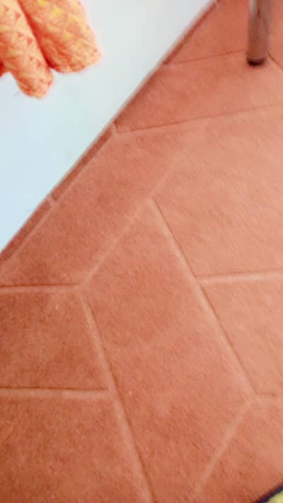 carpet for sale just 1 month used