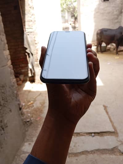 I phone 11