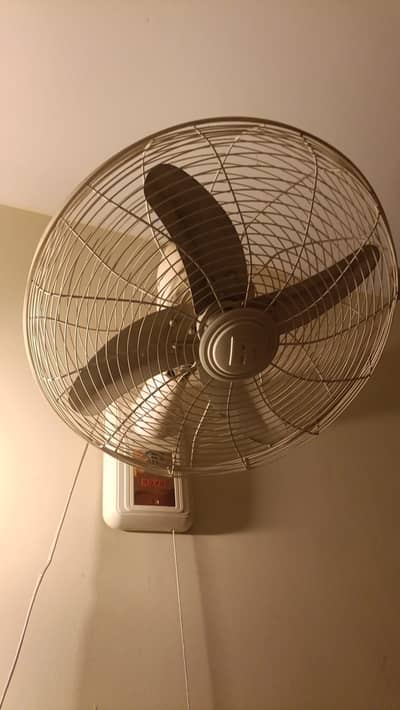 5 royal fan for sale