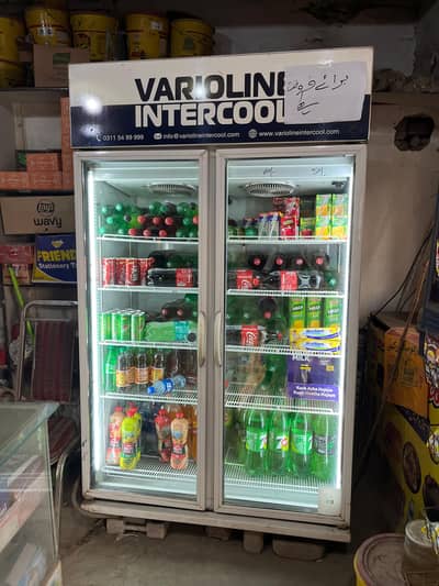 Varioline Intercool 2 Door Freezer