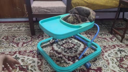 Baby Walker High Quality