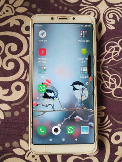 Xiaomi Redmi 6
