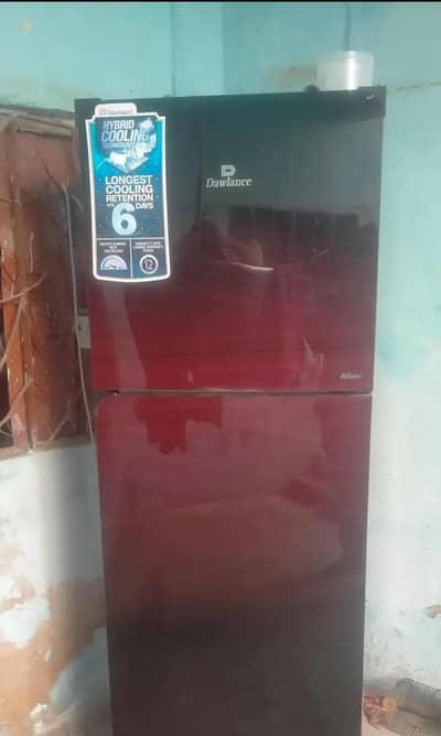 haeir glass door fridge 10/10