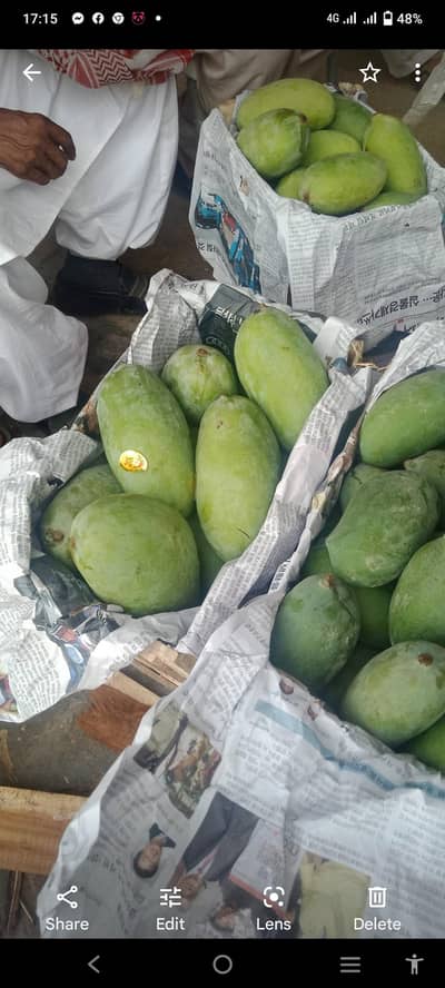 mango petty for sale  900