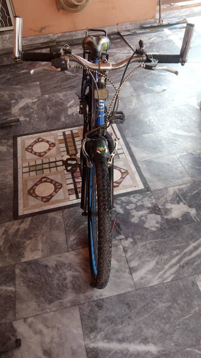 All ok cycle Morgan Brand