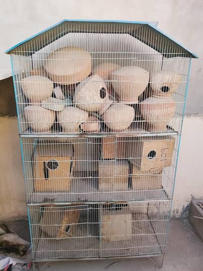 colony cage