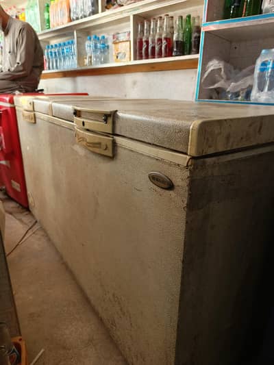 2 doors Deep Freezer