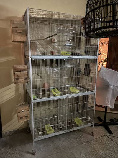 Lovebird cage