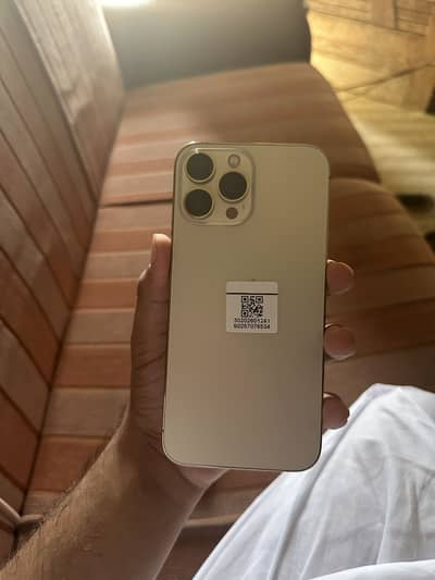 IPhone 13 Pro Max pta approved