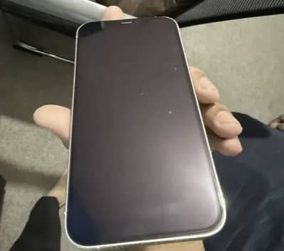 Apple iPhone 12 Pro