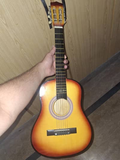 Guitar