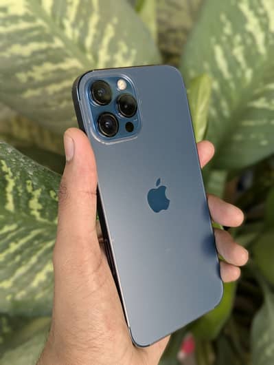 Apple iPhone 12 Pro Max