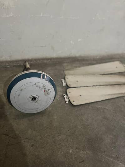 fan hai