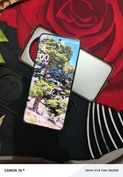 Realme 13 Pro Plus