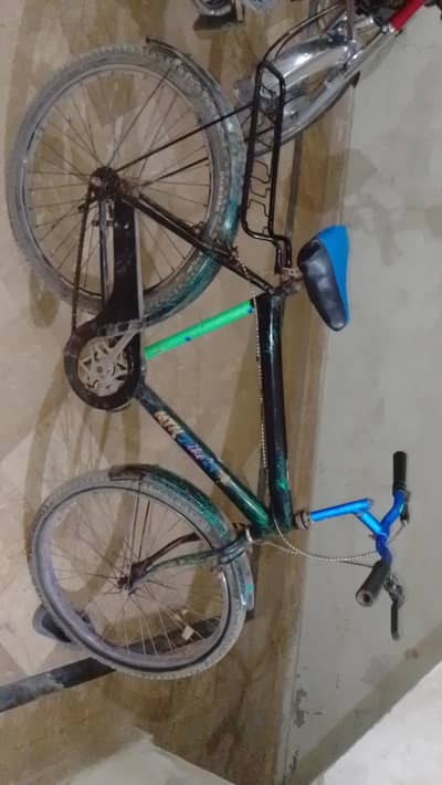 best cycle