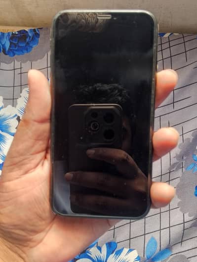 Apple iPhone XR see