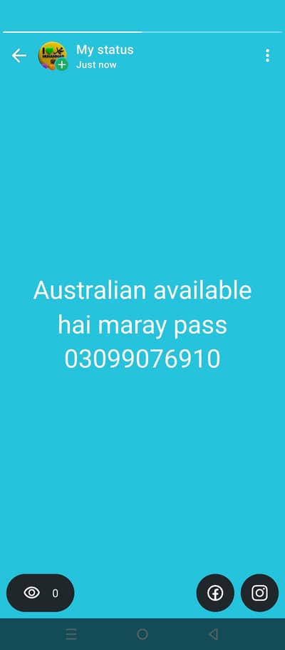 Australian parrt available hai 03099076910