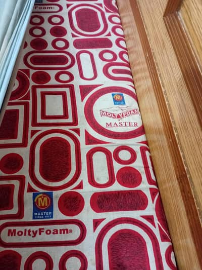 molty foam