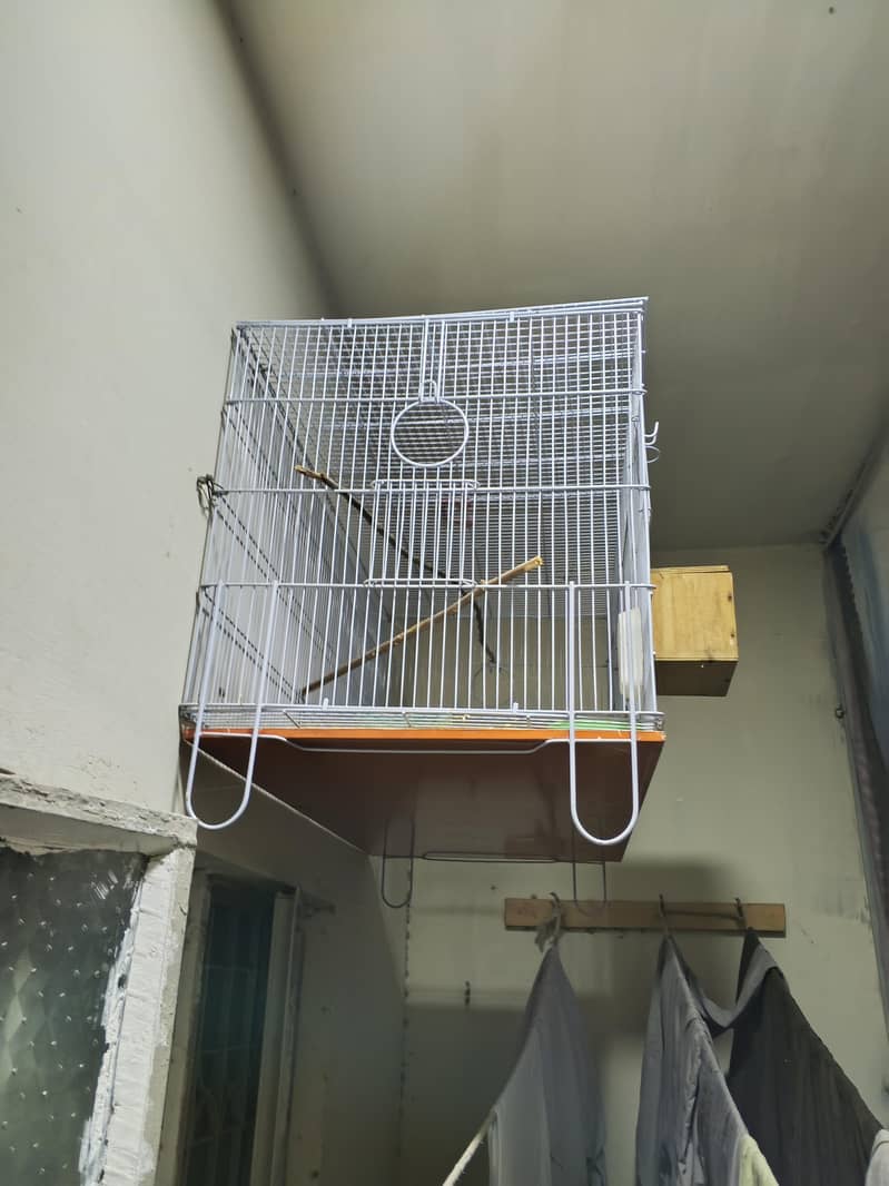 Master Cage 0