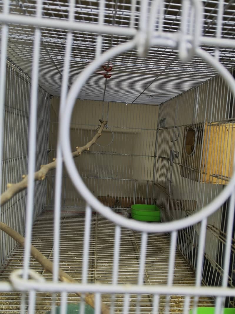 Master Cage 1