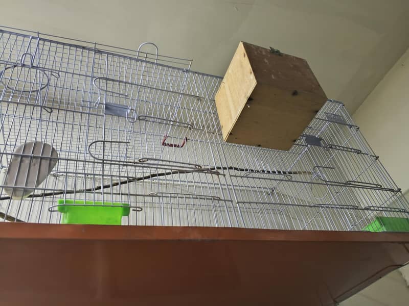 Master Cage 2