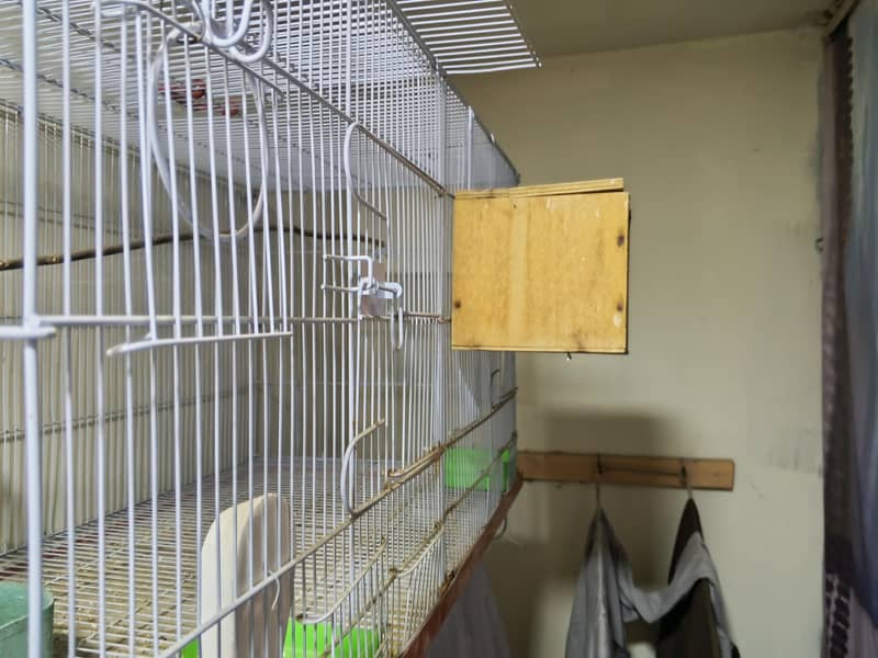 Master Cage 4