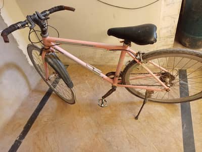 Scott Bicycle