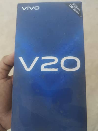 Vivo V20