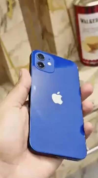 iPhone 12