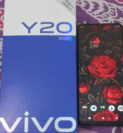 Vivo Y20