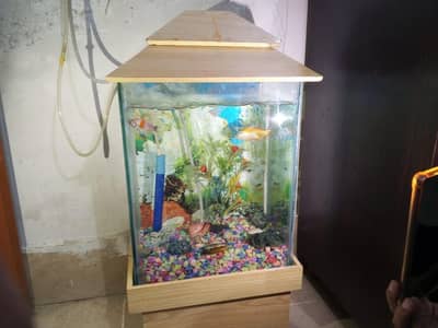 aquarium with complete saman with 2 fish