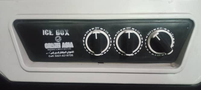 Green Asia Room air cooler