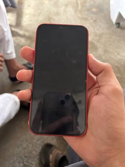 Apple iPhone 12 PTA approve