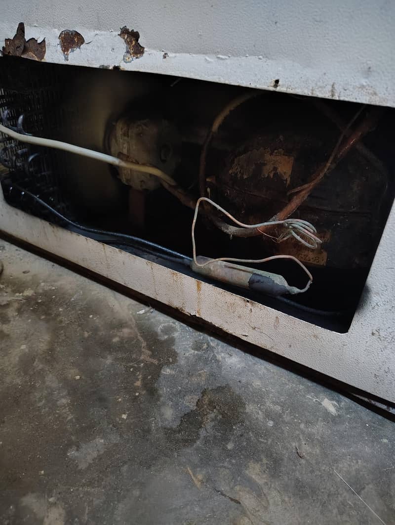 freezer 2