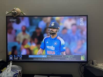 55 inch TCL P65